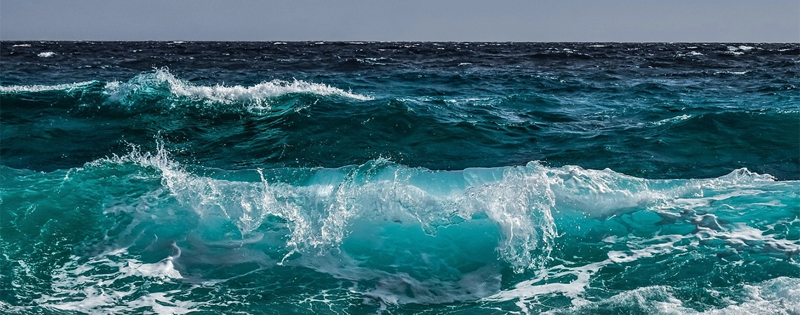 ¿El cambio climático está tiñendo los océanos de verde?